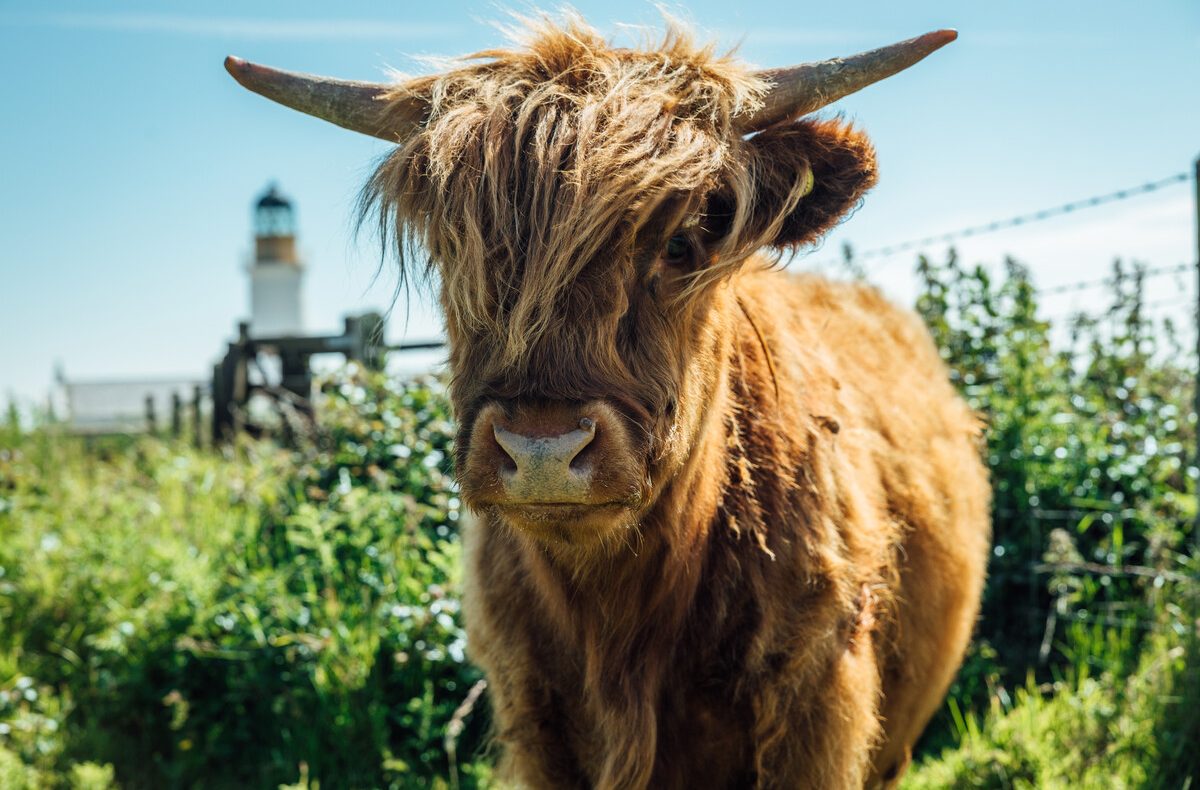 10 Must-See Sights on the Isle of Man