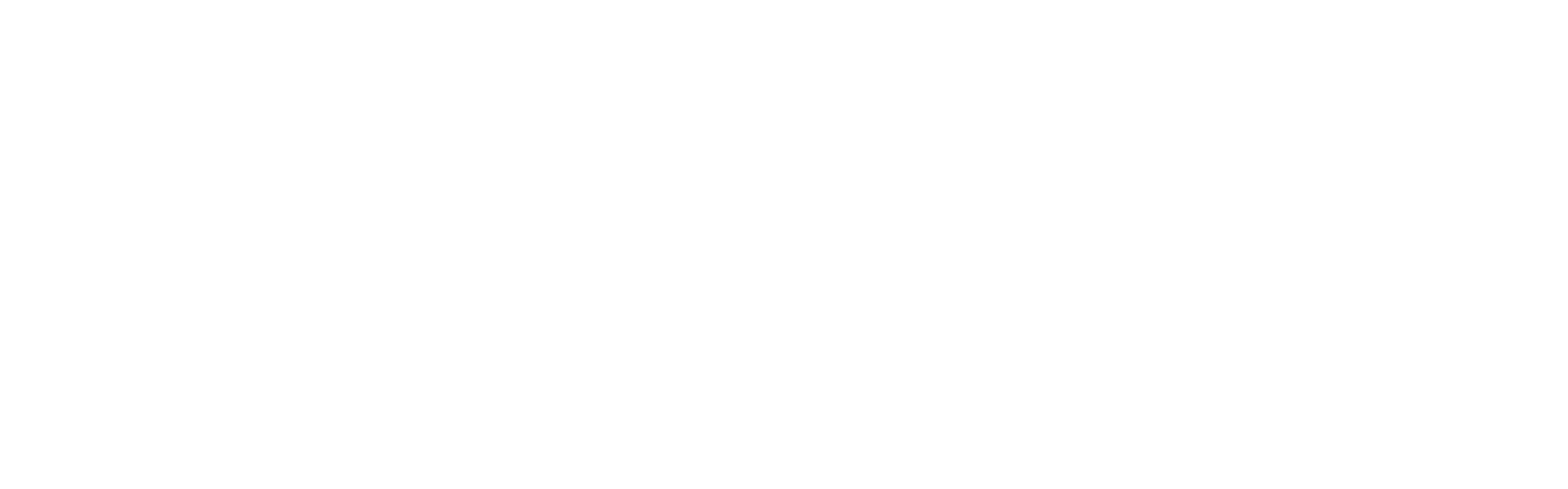 Official Metzeler TT Village Logo